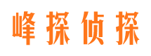 施秉出轨调查